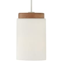 Liam 9" Wide Wood Mini Pendant with Soft White Glass Shade