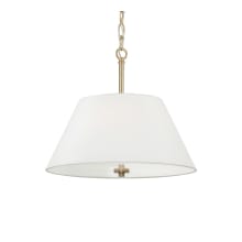 Parson 3 Light 15" Wide Pendant / Converts to Semi-Flush