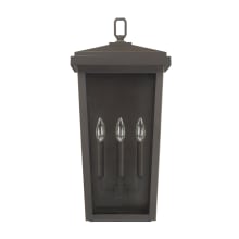 Donnelly 3 Light 24" Tall Outdoor Wall Sconce
