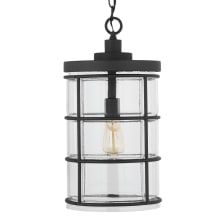 Outdoor 10" Wide Mini Pendant