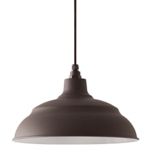 RLM 14" Wide Outdoor Pendant