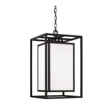 Aiden 13" Wide Outdoor Pendant