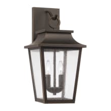 Chandler 2 Light 20" Tall Outdoor Wall Sconce