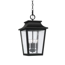 Chandler 4 Light 12" Wide Outdoor Pendant