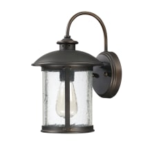 Dylan 13" Tall Outdoor Wall Sconce with Glass Shade