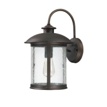 Dylan 15" Tall Outdoor Wall Sconce with Glass Shade