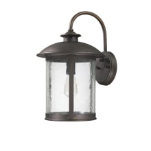 Dylan 19" Tall Outdoor Wall Sconce with Glass Shade