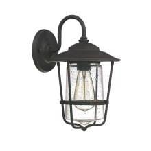 Creekside 13" Tall Outdoor Wall Sconce