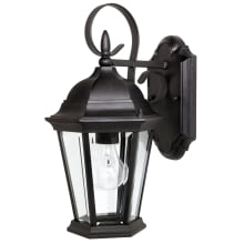 Carriage House 15" Tall Outdoor Wall Sconce