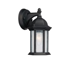 Main Street 10" Tall Outdoor Wall Sconce