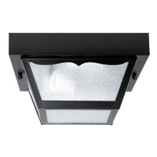 Outdoor 2 Light 10" Wide Outdoor Flush Mount Ceiling Fixture