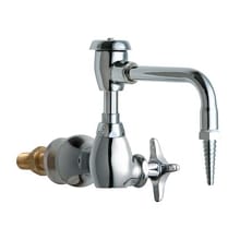 Wall Mounted Laboratory Faucet with Vacuum Breaker Swing Spout and Metal Cross Handle
