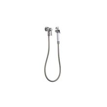 Wall Mounted Bidet Fitting with Push Button Self-Closing Hand Spray, 40" Steel Hose and Metal Lever Handle