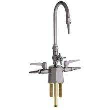 Single Hole Lab Faucet with Cross Handle, High Arch Vacuum Breaker Spout and Two Turret Outlets