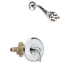 2.5 GPM Shower Trim Package with Lever Handle and Single Function Shower Head
