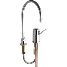 Commercial Grade High Arch Kitchen Faucet with Detached Lever Handle