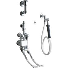 Wall Mounted Pedal Valve Concealed Bed Pan Flusher with Angle Valve with Volume Control, 48" Vinyl Hose and Loose Key Tee Handle