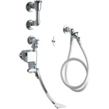 Wall Mounted Single Pedal Valve Concealed Bed Pan Flusher with Angle Valve, 48" Vinyl Hose and Loose Key Stop