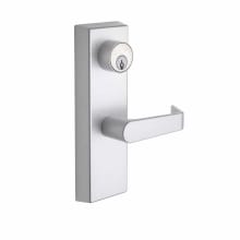 Single Cylinder Keyed Entry Exit Trim with Rectangular Rose and Avery Lever for 9000 Series Exit Devices