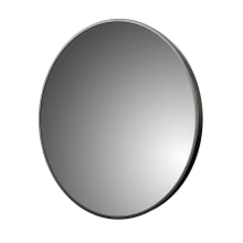 Reflections 28" Diameter Circular Flat Aluminum Accent Mirror