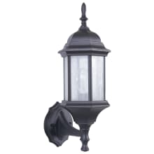Hex Style Cast Single Light 17-3/4" High Outdoor Wall Sconce with Clear Seeded Glass