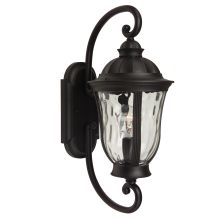 Frances 19" 1 Light Outdoor Wall Sconce