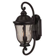 Frances 23" 2 Light Outdoor Wall Sconce
