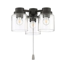 3 Light LED Light Kit with Clear Glass Shades