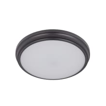 11" Wide Integrated LED Flush Mount Ceiling Fixture