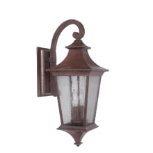 Argent II 21" 2 Light Outdoor Wall Sconce