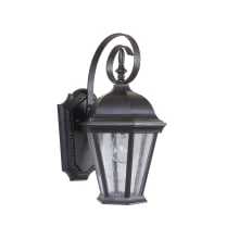 Chadwick Single Light 14-1/2" High Outdoor Wall Sconce with Clear Seeded Glass
