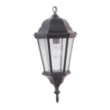 Chadwick Single Light 9-7/16" Wide Outdoor Mini Pendant with Clear Seeded Glass
