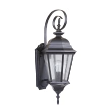 Chadwick Single Light 24-5/16" High Outdoor Wall Sconce with Clear Seeded Glass