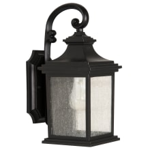 Gentry Single Light 13-5/8" High Outdoor Wall Sconce with Clear Seeded Glass