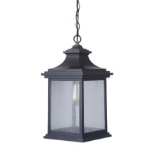 Single Light 8-1/2" Wide Outdoor Mini Pendant