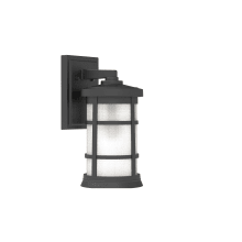 Resilience Lanterns 15" Tall Wall Sconce
