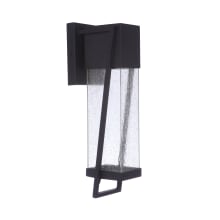 Bryce 17" Tall LED Outdoor Wall Sconce with Water Glass Shade