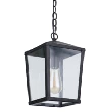 Olsen 8" Wide Outdoor Mini Pendant