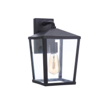 Olsen 14" Tall Outdoor Wall Sconce with Clear Glass Shade