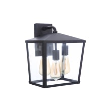 Olsen 3 Light 14" Tall Outdoor Wall Sconce with Clear Glass Shade