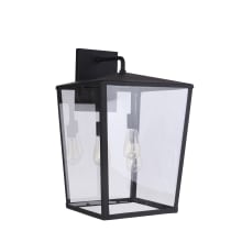 Olsen 3 Light 25" Tall Outdoor Wall Sconce with Clear Glass Shade