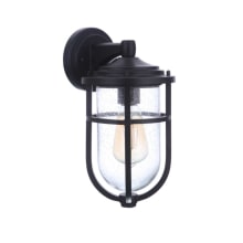 Voyage 13" Tall Outdoor Wall Sconce with Seedy Glass Shade
