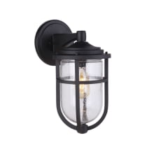 Voyage 16" Tall Outdoor Wall Sconce with Seedy Glass Shade