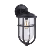 Voyage 19" Tall Outdoor Wall Sconce with Seedy Glass Shade