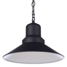 Singleton 14" Wide Pendant