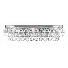 Calypso 23" Wide Vanity Light with Clear Glass Accents