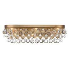 Calypso 23" Wide Vanity Light with Clear Glass Accents