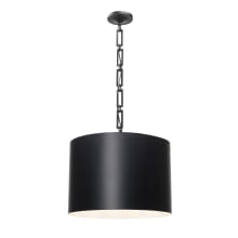 Alston 6 Light 20" Wide Pendant with Steel Shade