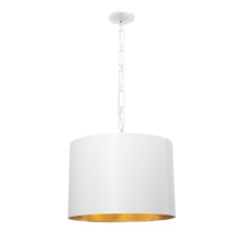 Alston 6 Light 20" Wide Pendant with Steel Shade