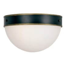 Capsule 2 Light 12" Wide Outdoor Flush Mount Bowl Ceiling Fixture with Frosted Glass Shade
